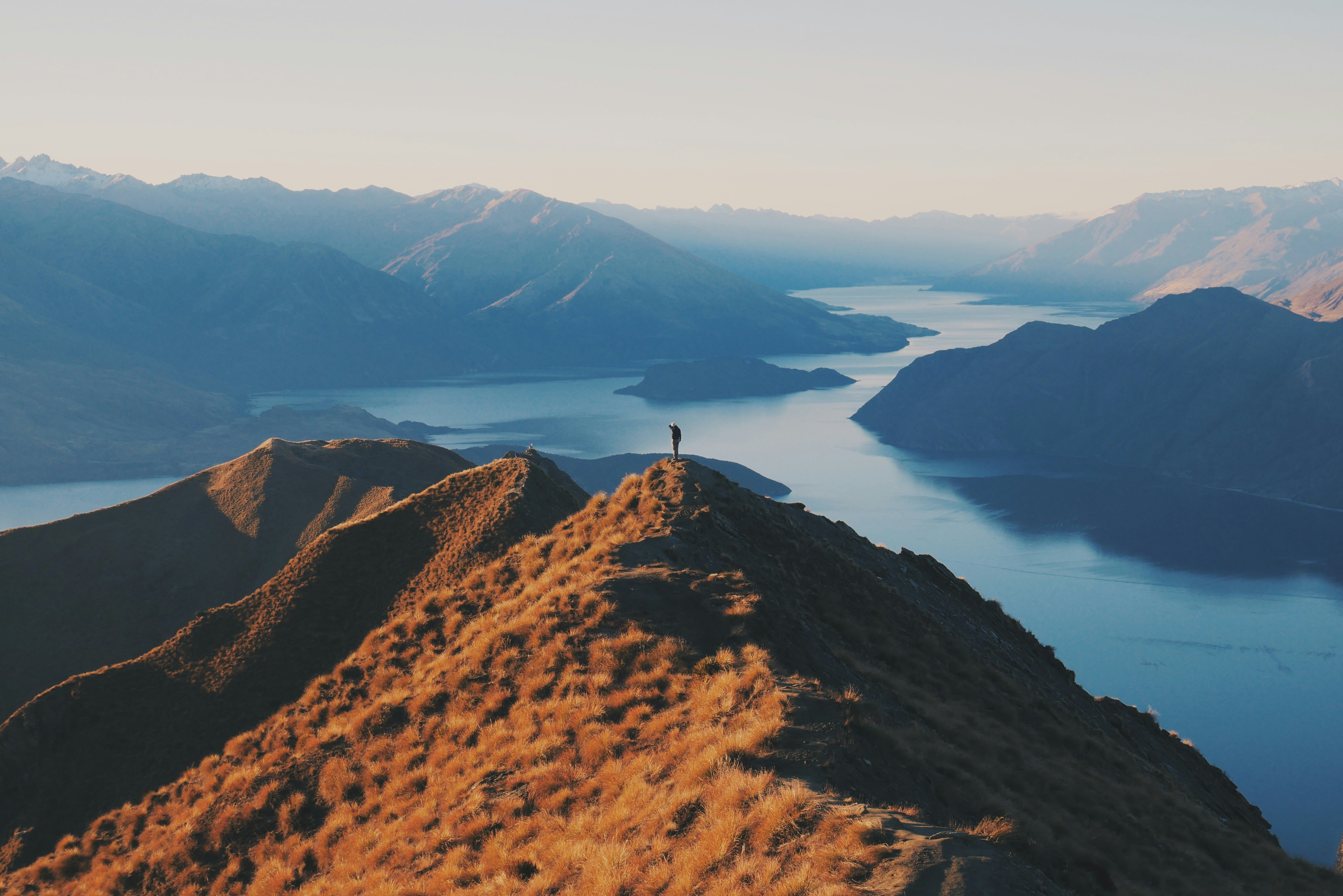 Brand elevation and scaling success results
