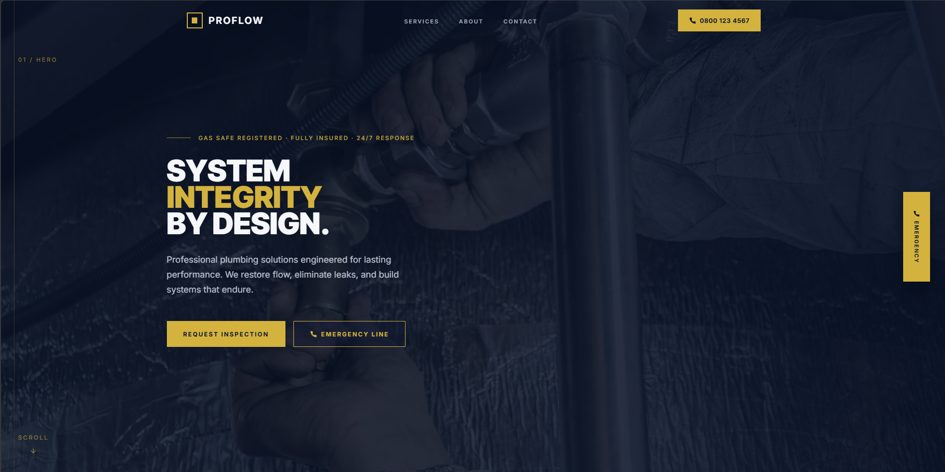 Proflow professional plumbing services website hero section